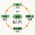 眼心体統合法ー問題が起こる前に先手を打つ検査