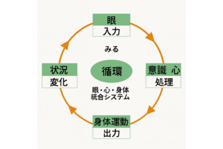 眼心体統合法ー問題が起こる前に先手を打つ検査